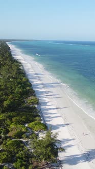 Tanzania  Vertical Video of the Ocean Near the Coast of Zanzibar Slow Motion