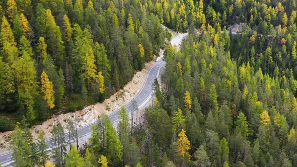 Aerial view on the road and forest at the autumn time. Dolomite Alps, Italy. Forest and road.