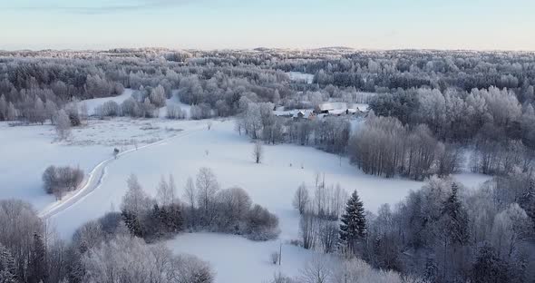 Flying Over Magical Wintry Forest