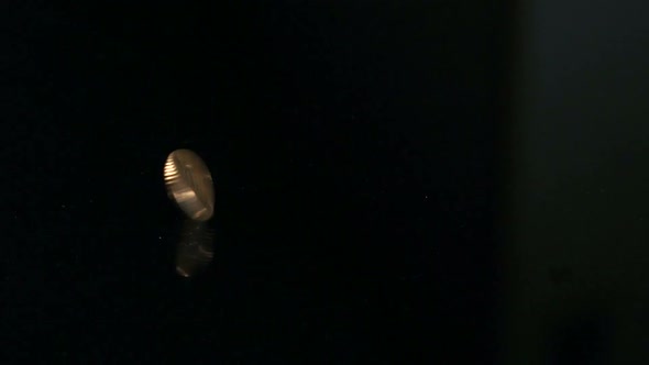 Coin Rotation on the Mirror Table