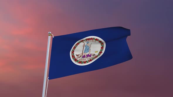 Flag Of Virginia Waving 4k