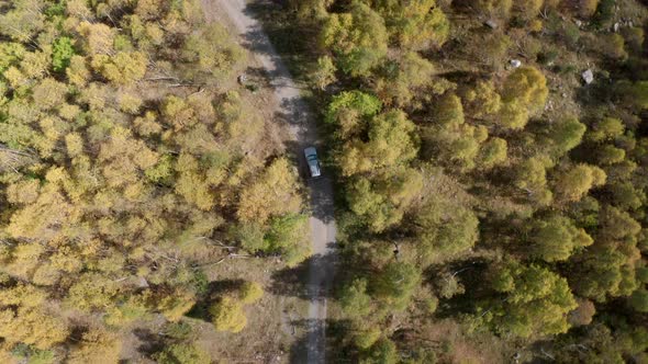 Off Road Car Driving on Dirt Road Through Autumn Forest Top Aerial View From Drone. Traveling Suv