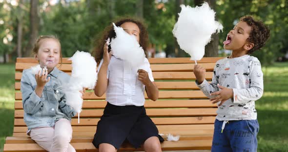 Children Eat Cotton Candy