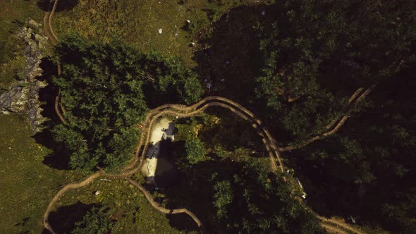 Aerial View of the Road Through the Forest