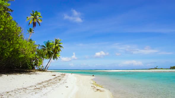 Tropical Beach with Palm Trees in French Polynesia 67