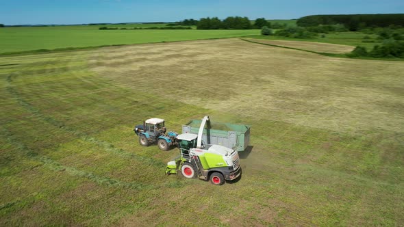 Aerial Shot of Harvester Loading Off Mown Plants on Trailers