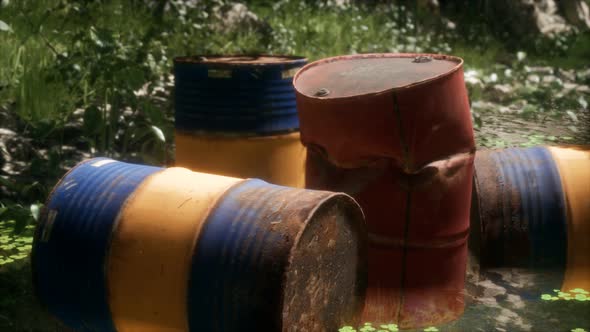 Rusty Barrels in Green Forest