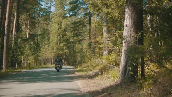 Two Motorcyclists Riding Their Motorbikes in the Coniferous Forest - Bright Day