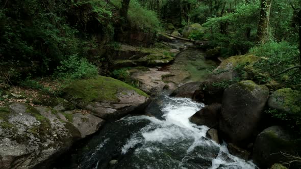 Abstract Nature Background