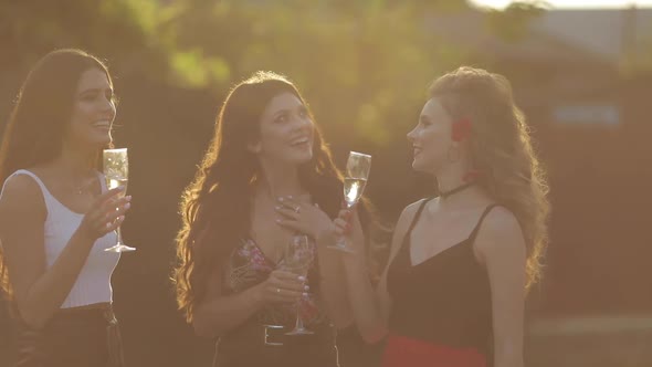 Three Gorgeous Girlfriends Drinking Champagne in Sunlight in the Summer Park