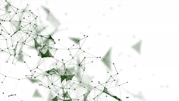 Green Plexus Network Animation On White Background, High Tech Technology Network Background, Plexus