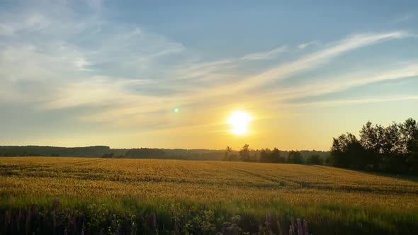 Rural landscape, fields at sunset