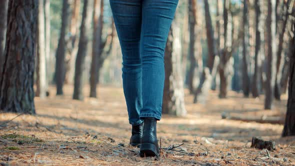 Woman In Leather Shoes In Fall Pine Forest. Girl Legs Walking In Winter Greenwood. Forest In Autumn.