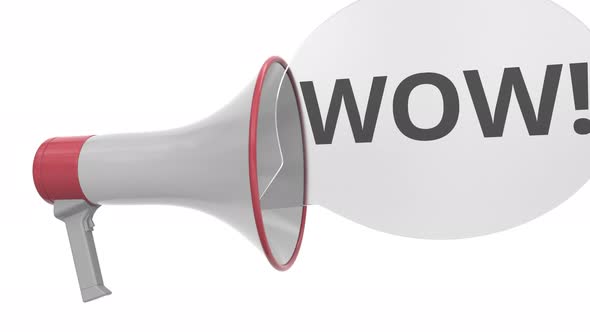 Grey Megaphone with WOW Message on Speech Bubble