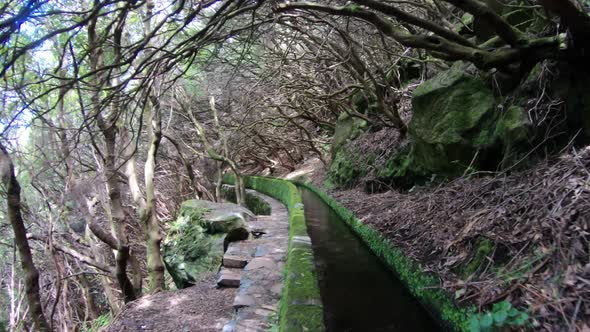 Walking by a levada irrigation channel in Madeira, Portugal