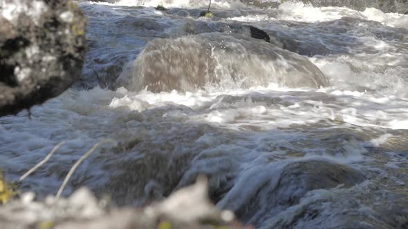 Closeup Shot of Rapids