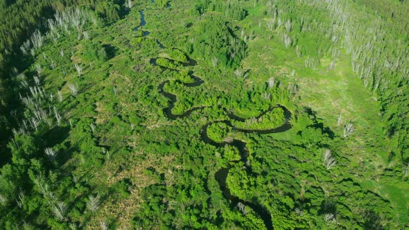 Aerial Drone  Video of Winding River