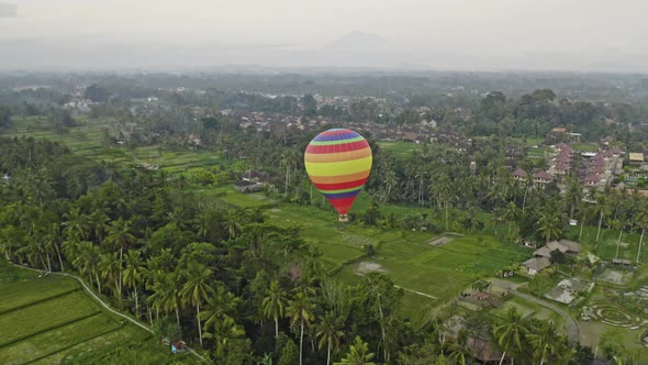 Drone Flight Over Hot Air Balloon Over Paddy Fields