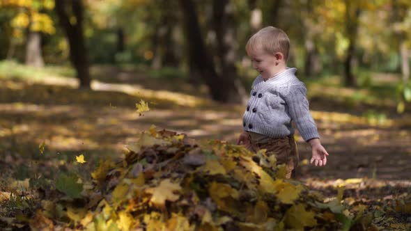 Cute Toddler Boy Playing with Leaves in Park