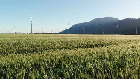 General view of wind turbines in countryside landscape with cloudless sky