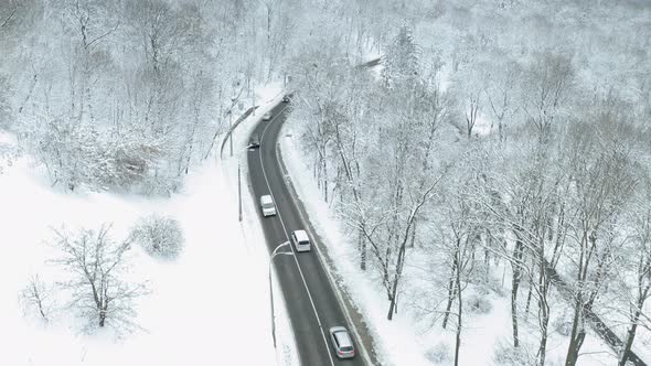 Cars Driving on Winter Country Road in the Forest