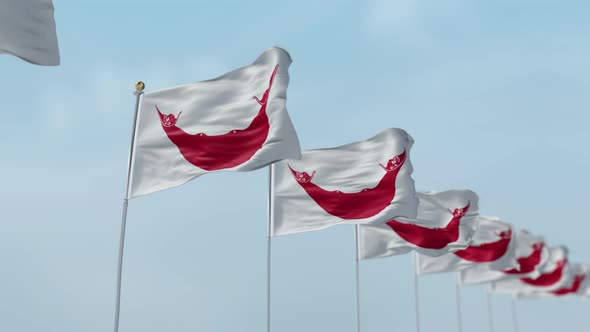 Easter Island Rapa Nui  Row Of Flags 