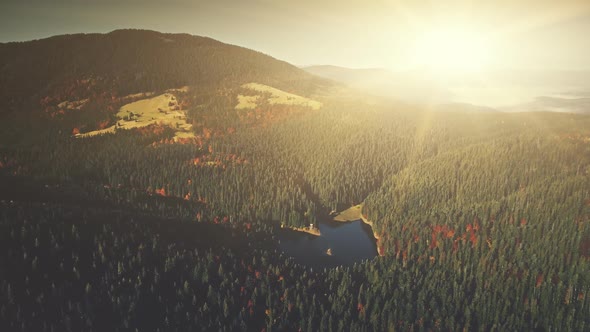 Panoramic Mountain Forestry Slope Dawn Aerial View