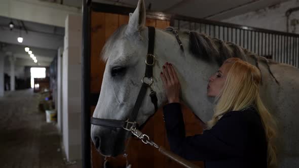 Pretty Blonde Woman is Stroking Beautiful White Horse in Stable Embracing and Kissing