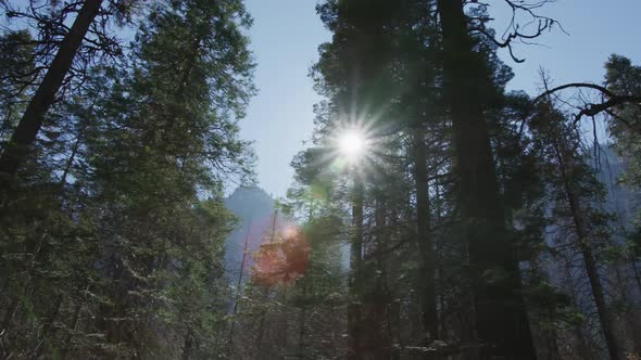 Day In Yosemite Park