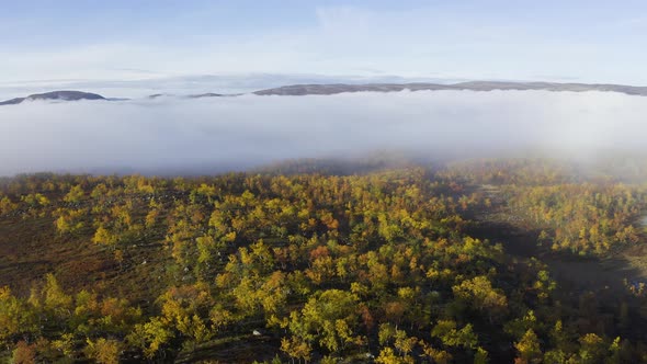 Flying above clouds on a hill with autumn colored forest.