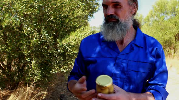 Man examining pickled olive in farm 4k