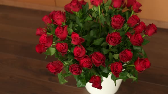 Red Roses 06