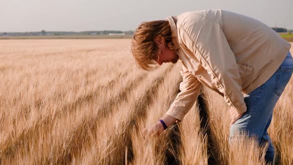 Farmer Working on Wheat Field