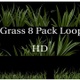 Realistic Grass Loop HD - VideoHive Item for Sale