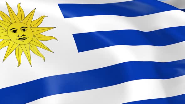 Uruguay Flag