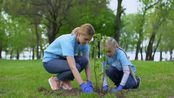 Mother and Daughter Planting Bush in Park Together, Environmental Volunteering