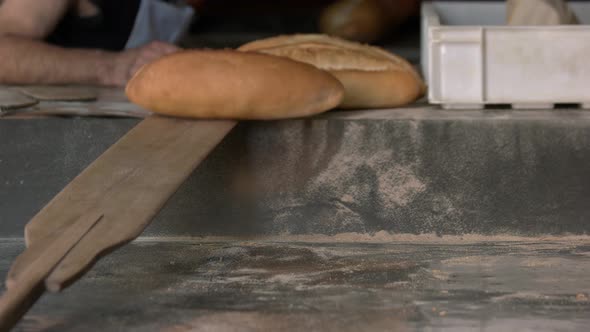 Male Baker Taking Out with Shovel Freshly Baked Bread in Bakery