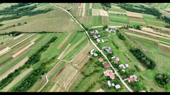 Aerial view of many white storks circling over the Ukrainian land, Europe.