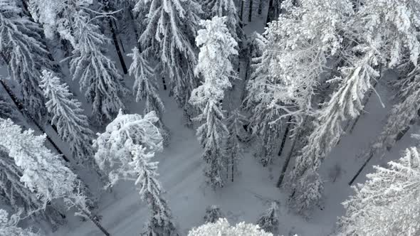 Aerial View of White Car Driving in Snow Forest Road