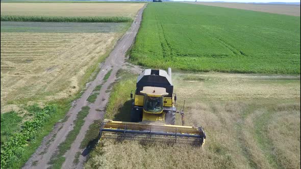 Combine Harvester Harvests Ripe Wheat