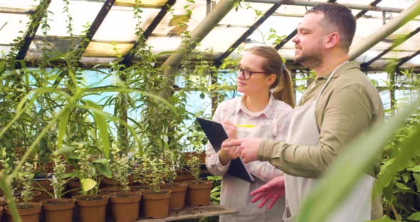 Slow Motion of a Young Couple of Greenhouse Workers Counting Flowers and Plants