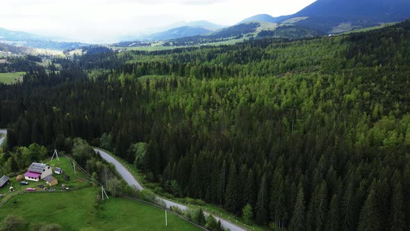 Ukraine, Carpathians: Forest Landscape. Aerial View