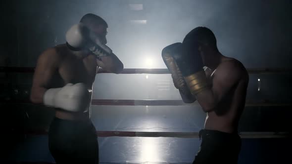 Two Muscular Mixed Martial Arts Athletes Fighting in the Ring