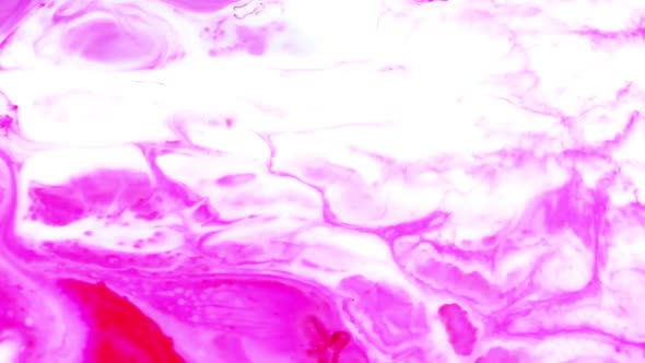 Vibrant Swirling Colors Explosion Paint Blast  alt