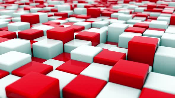 White and Red Cubes