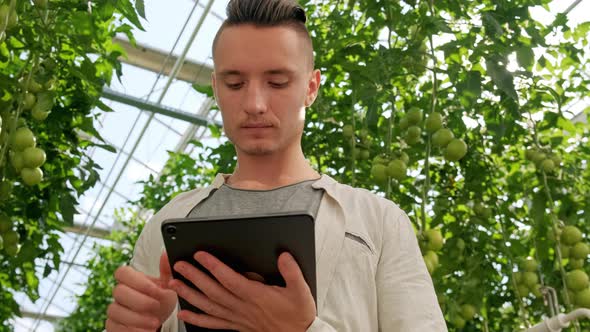 Young Man Using or Playing Tablet in Greenhouse. Green Plant Growing in Warm House.