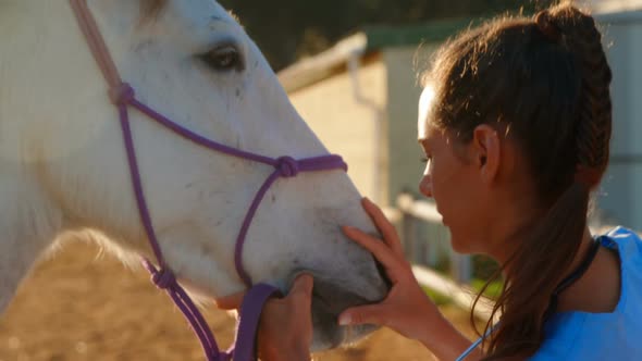 Veterinarian doctor checking the horse