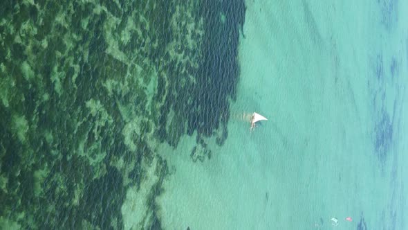 Tanzania Vertical Video  Boat Boats in the Ocean Near the Coast of Zanzibar Aerial View