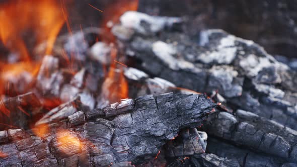 Smoldered logs in fire