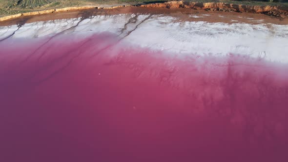 Aerial Point of View of Amazing Colorful Lake with Wide White Salt Coast and Pink Water